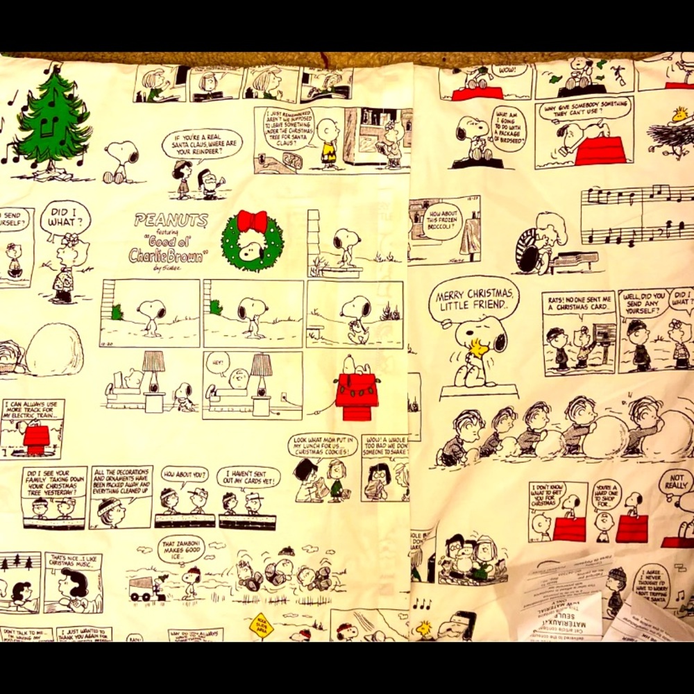 Pottery barn & Peanuts Christmas pillow cover holiday